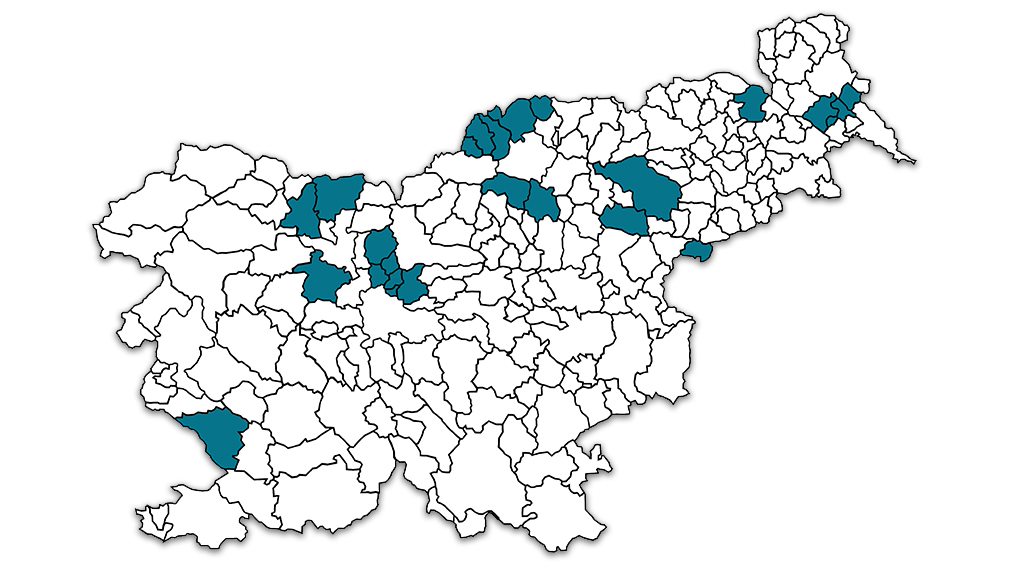 Distribucijski sistemi zemeljskega plina