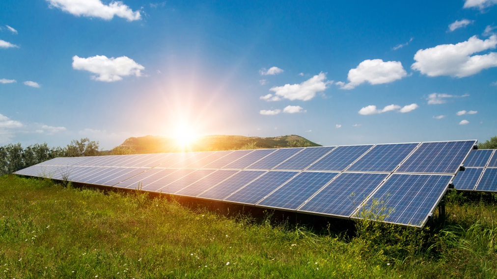 Solarni paneli na travniku