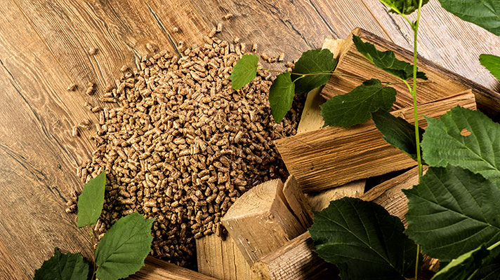 Na sliki so lesni peleti in drva na lesenih tleh, obkroženi z zelenimi listi.