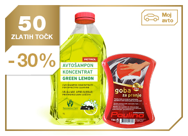Avto šampon Green + Goba za pranje Paulina