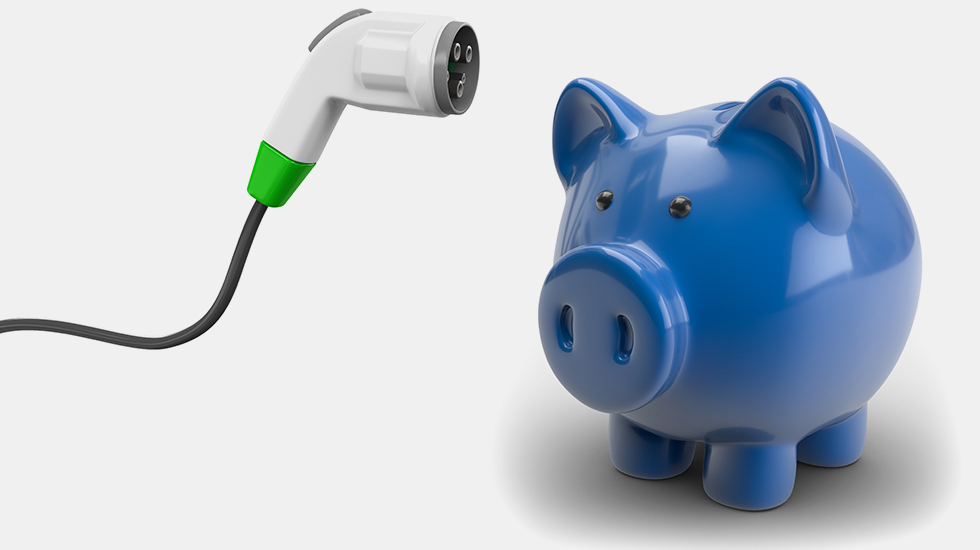 Na sliki sta bel polnilni kabel z zelenim zaključkom in modra hranilna pujsa, postavljena na sivem ozadju.