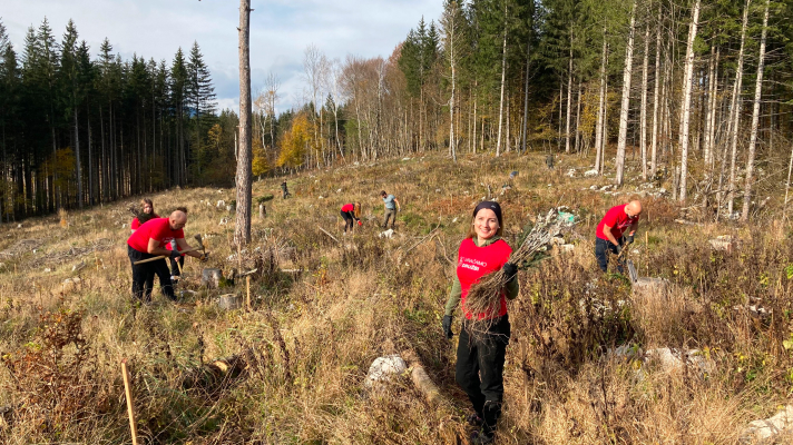 Prostovoljske akcije sajenja dreves