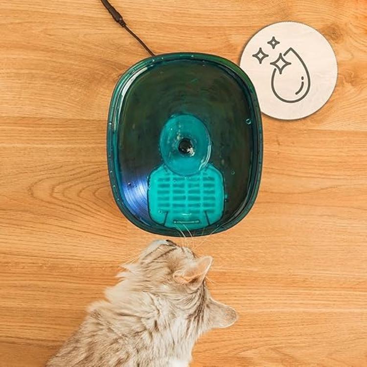 Fontana za hišne ljubljenčke Cecotec Pumba 2200 Refresh