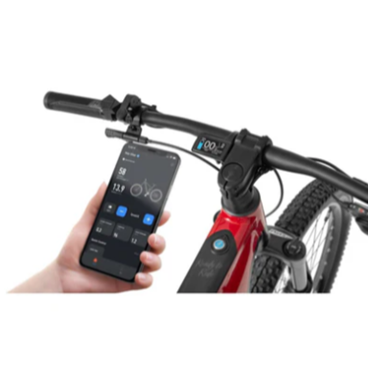 Ecobike električno gorsko kolo: krmilo z LCD zaslonom in telefonom, aplikacija prikazuje podatke o vožnji.