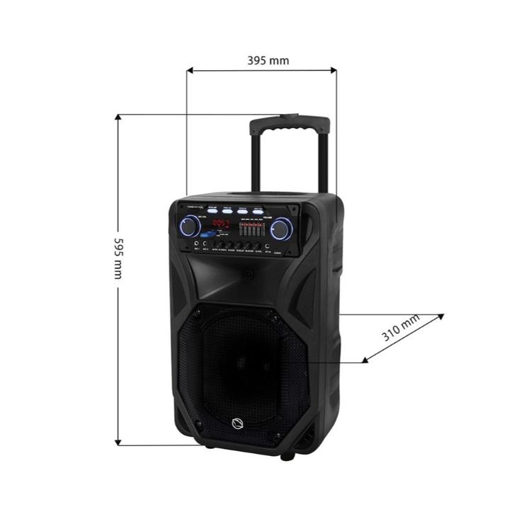 Karaoke zvočni sistem MANTA SPK5021 PRO Fonos, vgrajena baterija, B..._6
