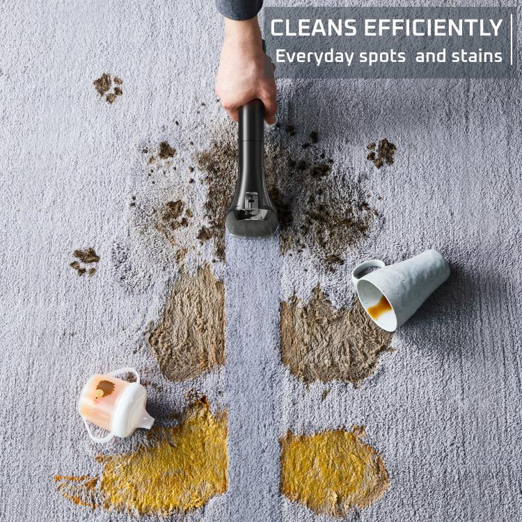 Čistilnik madežev Rowenta Clean it IN5012F0