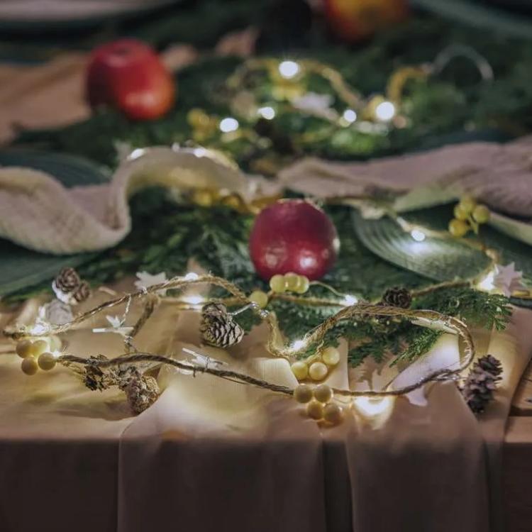 Božična girlanda Emos storžki, LED, 1,7 m, notranja, topla