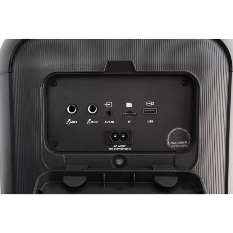 Zadnja plošča zvočnika Blaunpunkt s priključki MIC, AUX, USB, TF, AC vhodom in jasno označenimi ikonami.