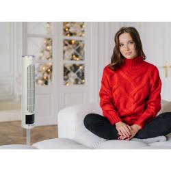 Stolpni - namizni ventilator Be Cool BC13WTU2302AK