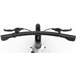 Električno kolo MS Energy Cityzen C102, 24 x 3", 250W motor, sivo