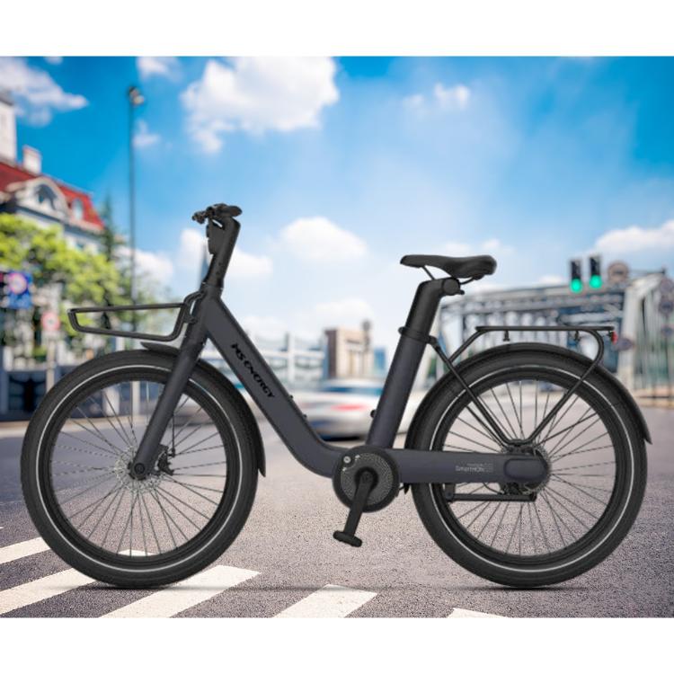 Električno kolo MS Energy Cityzen C102, 24 x 3", 250W motor, sivo