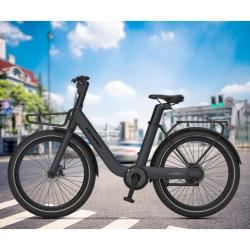 Električno kolo MS Energy Cityzen C102, 24 x 3", 250W motor, sivo