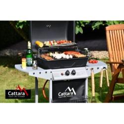 Plinski žar Cattara med peko hrane na vrtu.