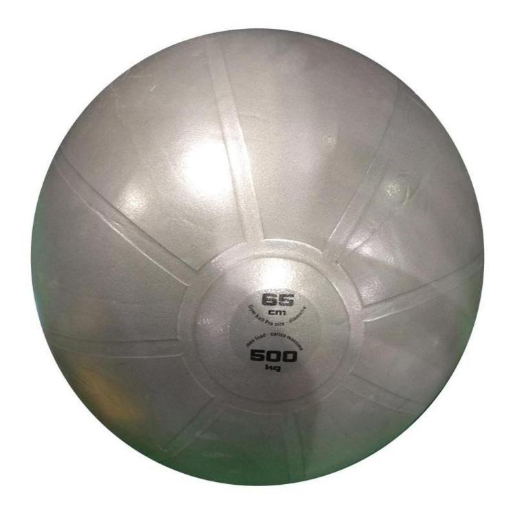 Gimnastična žoga Toorx PRO AHF-148, 65 cm, siva