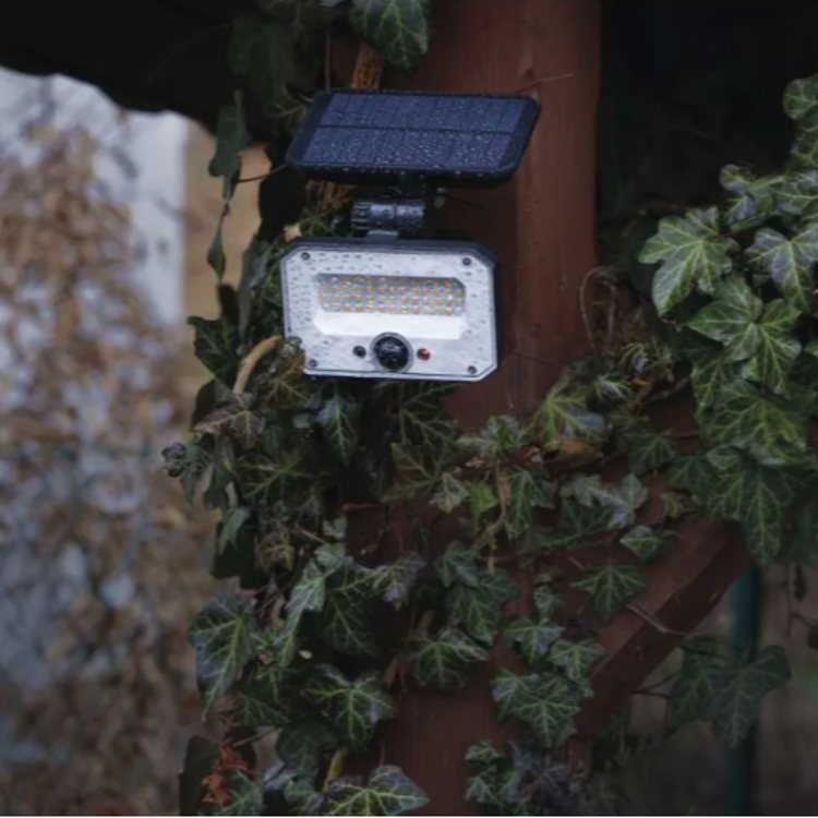 EMOS solarni LED reflektor nameščen na zunanji leseni konstrukciji, obdani z bršljanom, v večernem okolju