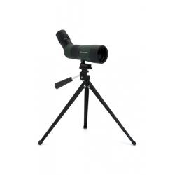 Daljnogled Celestron LandScout 10-30x50 45°