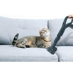 Sesalnik HOOVER HP720PET 011, ciklon 850W