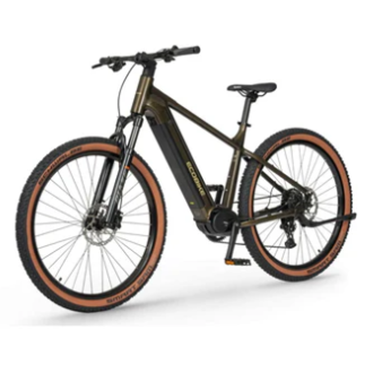 ECOBIKE električno kolo z amortizerji, prestavami in velikimi kolesi za vožnjo po zahtevnem terenu