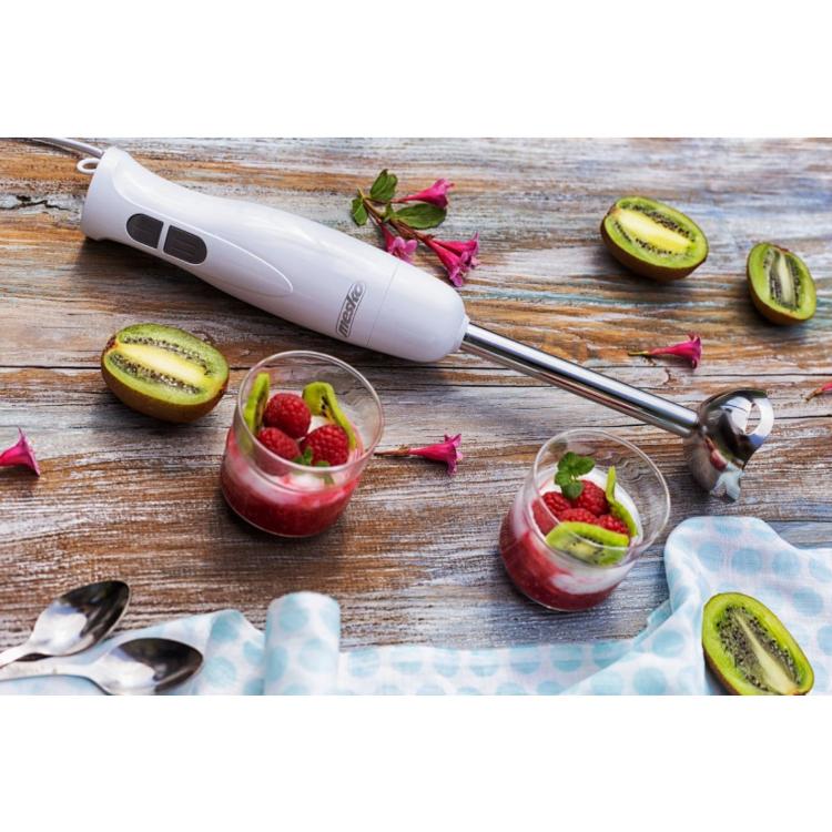 Blender Mesko MS4619, 300 W