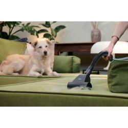 PET krtača sesalnika Hoover pri odstranjevanju dlak hišnih ljubljenčkov s kavča.