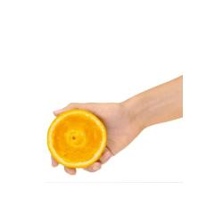 Ožemalnik za citruse Sage SCP600SIL_2