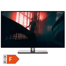 Monitor LENOVO ThinkVision P27H-30 27" (68,58cm) QHD IPS DP/HDMI/USBC HDR10