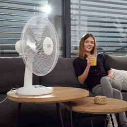 Namizni ventilator Black+Decker BXEFD42E, 40 W, 40 cm