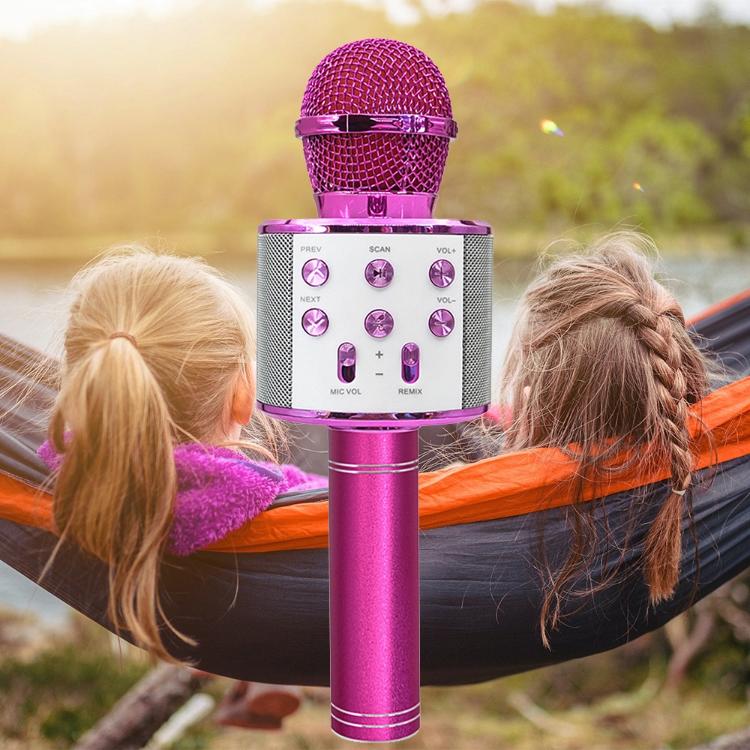 Mikrofon in zvočnik FOREVER BMS-300, BT, USB, microSD, AUX-in, karaoke, roza_2