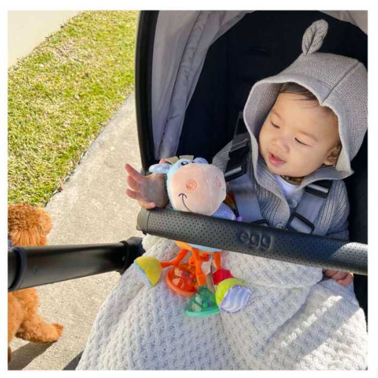 Ropotulja Playgro Clip Clop 0188462