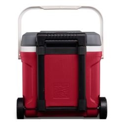 Zadnji pogled na Igloo hladilno torbo na kolesih z izvlečnim ročajem.