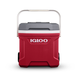 Igloo prenosna hladilna torba z zgornjim ročajem, sprednji pogled.