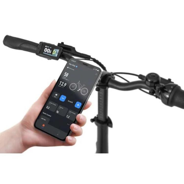 Električno kolo Ecobike Rhino Cruise 17,5AAh/630Wh bel