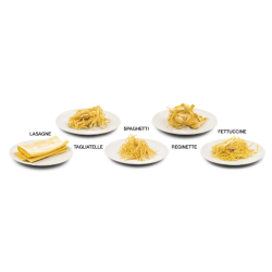 Prikaz različnih vrst testenin (lasagne, tagliatelle, spaghetti, fettuccine, reginette), pripravljenih z G3Ferrari aparatom