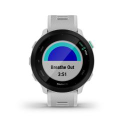 Tekaška ura Garmin Forerunner 55, GPS, z vadbenimi funkcijami, bela_3