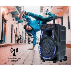 Manta SPK5033 karaoke zvočni sistem, Bluetooth 5.0, USB/MP3/RADIO FM, Disco LED_5