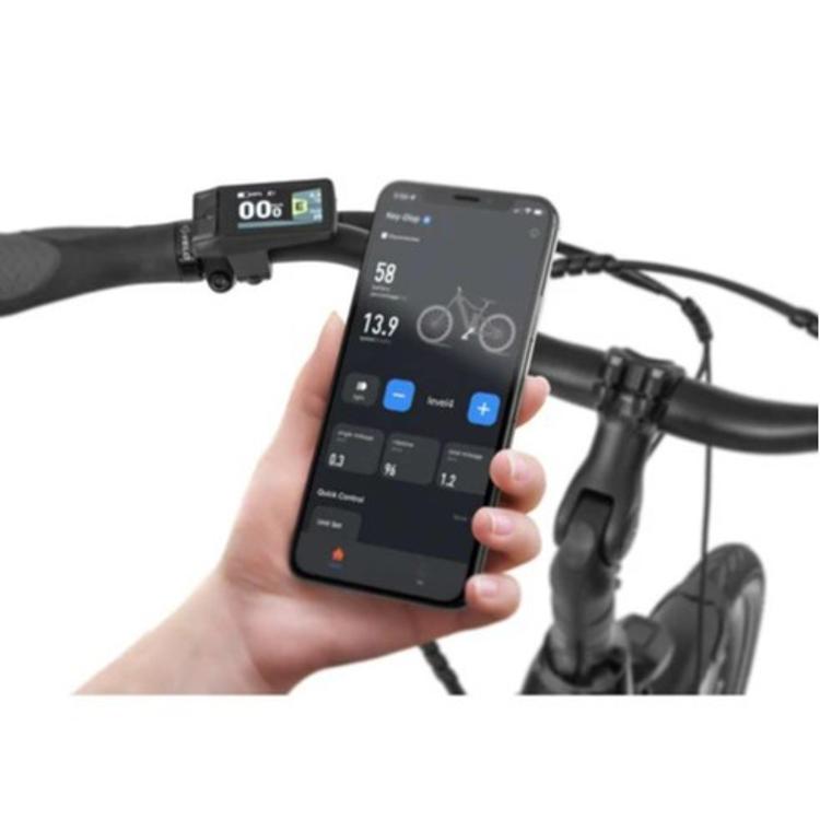 Električno kolo Ecobike LX100, 17", 17.5Ah/630Wh, črn