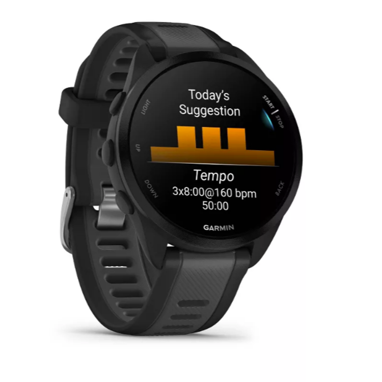 Pametna ura Garmin Forerunner 165, black/slate grey