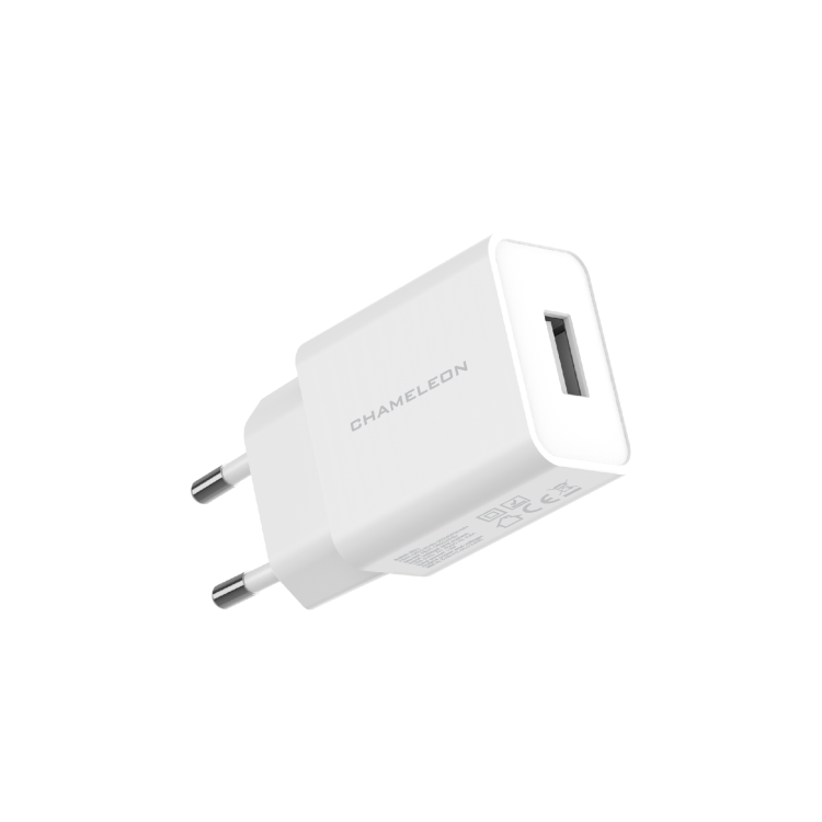 Hišni polnilec, 12W (2,4A), USB izhod, s kablom USB na MicroUSB