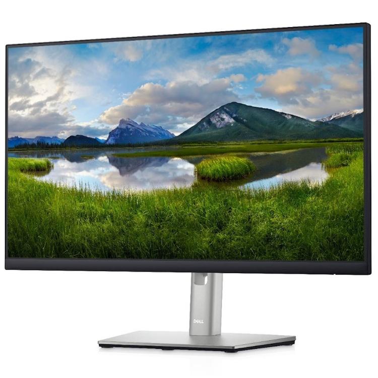 Dell monitor P2422H