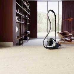 Sesalnik s posodo Electrolux ECC21-2IW