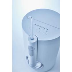 Električna zobna prha Panasonic EW1611W503_1