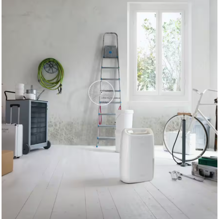 Razvlažilnik zraka Delonghi DEX210SF, 10 L