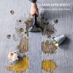 Čistilnik madežev Rowenta CLEAN IT IN3020F0
