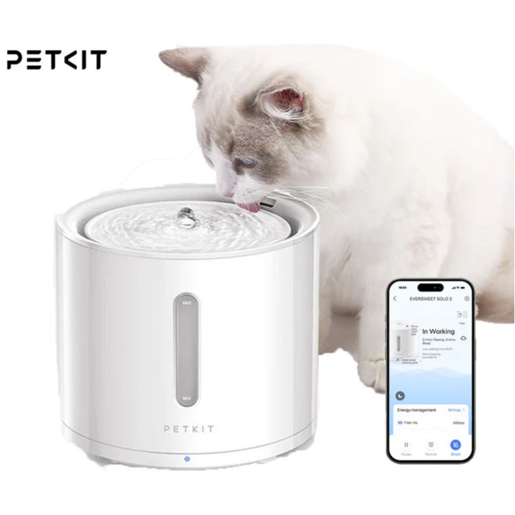 PETKIT Eversweet Solo 2 pametna vodna fontana v beli barvi, prikazana z mačko in mobilno aplikacijo za spremljanje delovanja ter porabe vode.
