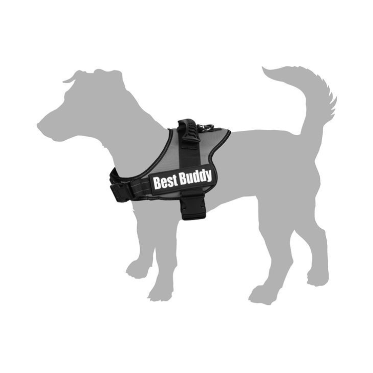 Oprsnica Best Buddy, M, 60-80 cm, 38 mm, modra