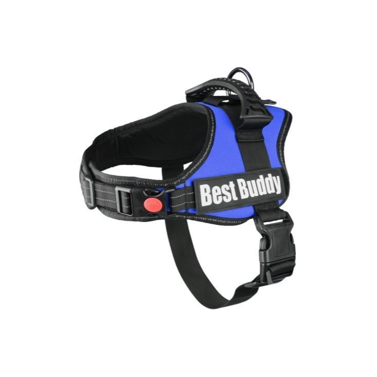 Oprsnica Best Buddy, M, 60-80 cm, 38 mm, modra