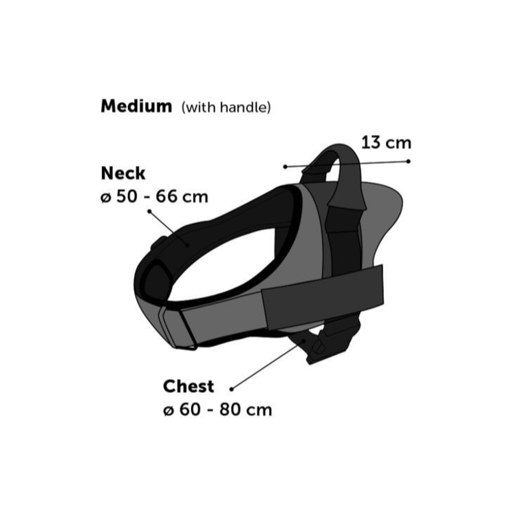 Oprsnica Best Buddy, M, 60-80 cm, 38 mm, modra