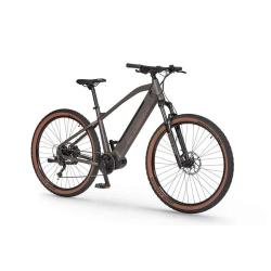 Električno kolo Ecobike SX300 , 21", 672Wh, Copper Black